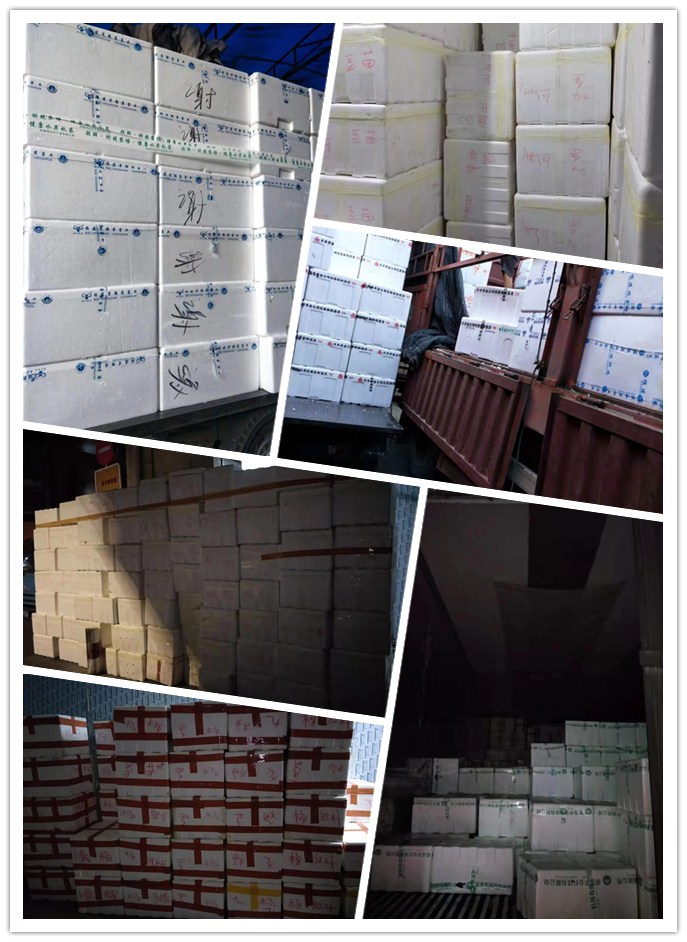 AG真人国际(中国) - 官方网站