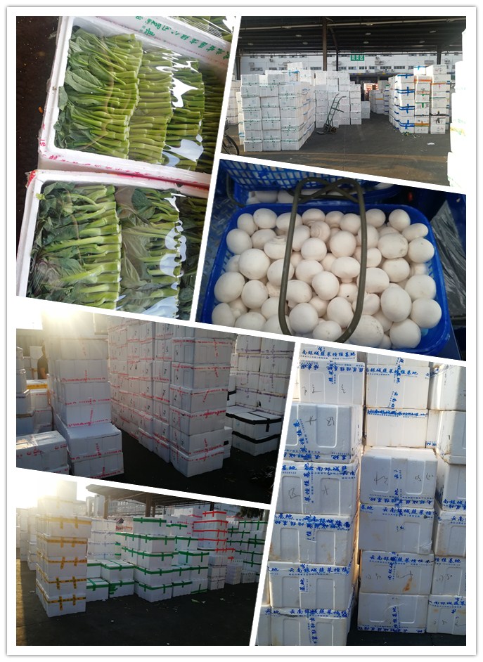 AG真人国际(中国) - 官方网站