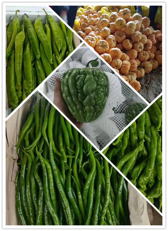 AG真人国际(中国) - 官方网站