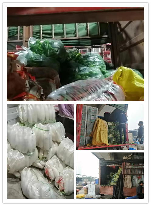 AG真人国际(中国) - 官方网站