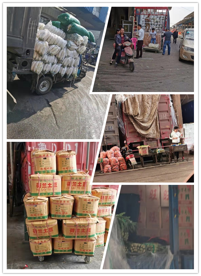 AG真人国际(中国) - 官方网站