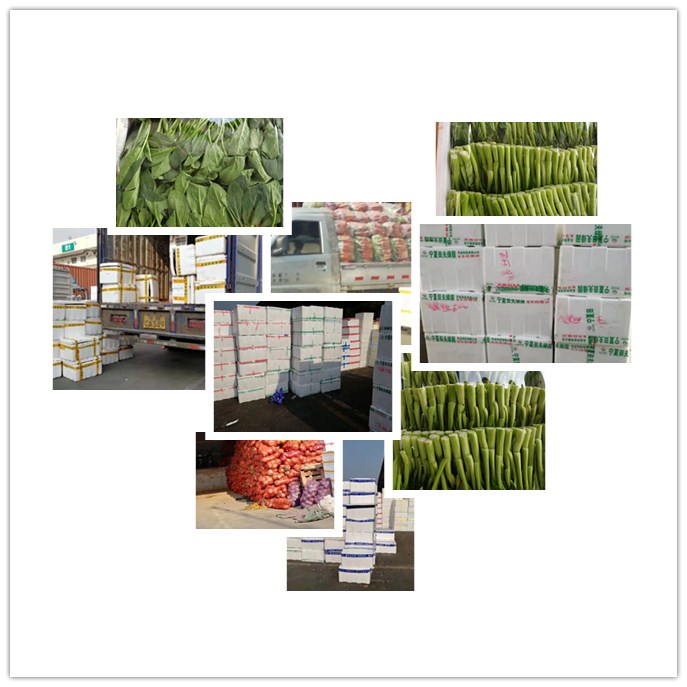 AG真人国际(中国) - 官方网站