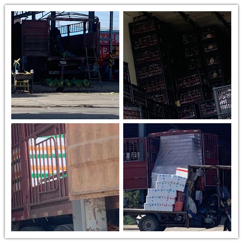 AG真人国际(中国) - 官方网站