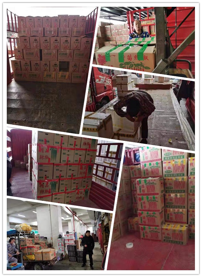 AG真人国际(中国) - 官方网站