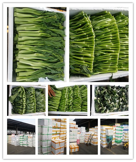 AG真人国际(中国) - 官方网站