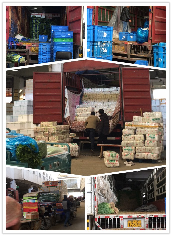 AG真人国际(中国) - 官方网站