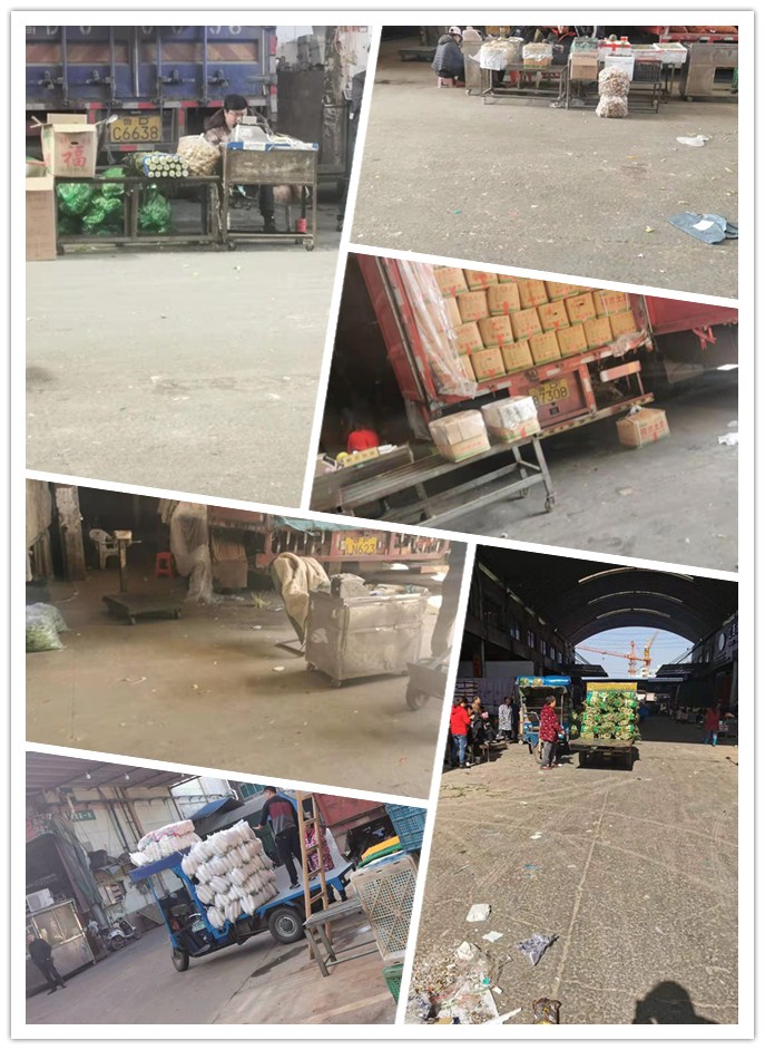 AG真人国际(中国) - 官方网站