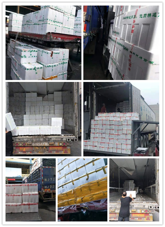 AG真人国际(中国) - 官方网站