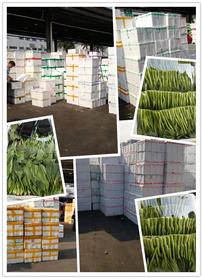 AG真人国际(中国) - 官方网站