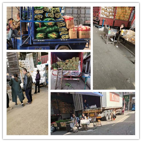 AG真人国际(中国) - 官方网站