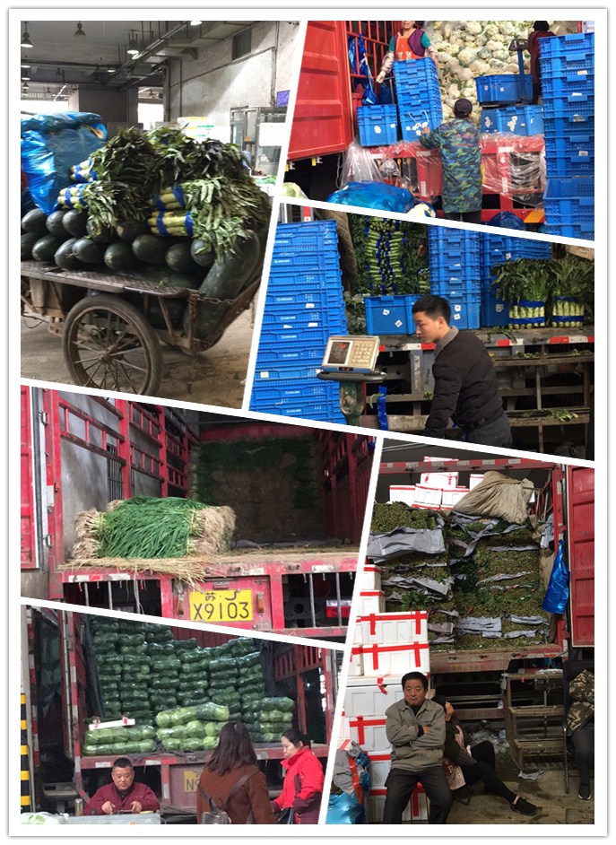 AG真人国际(中国) - 官方网站