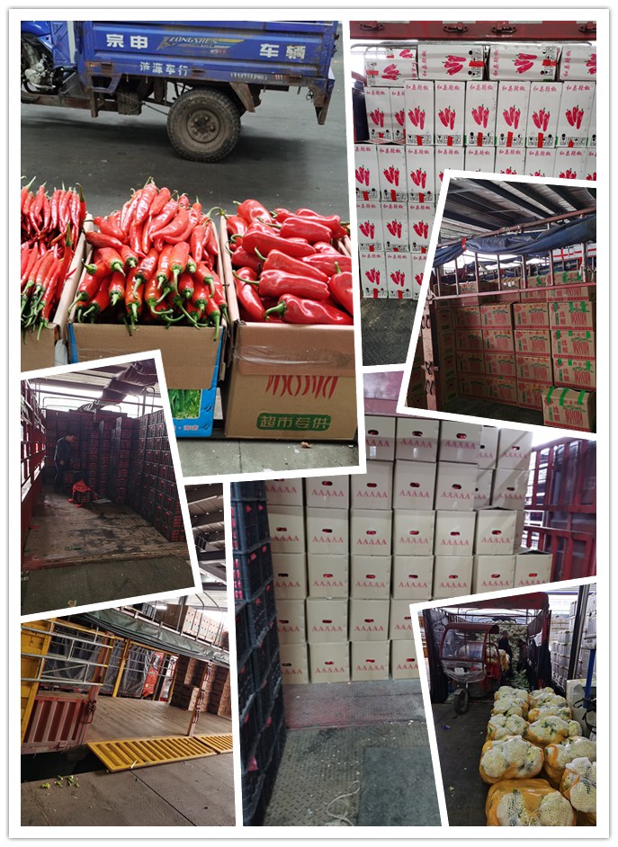 AG真人国际(中国) - 官方网站