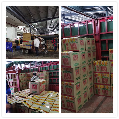 AG真人国际(中国) - 官方网站