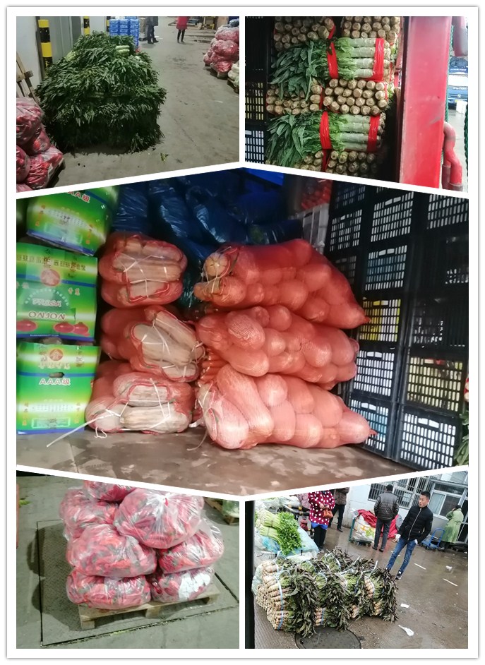 AG真人国际(中国) - 官方网站