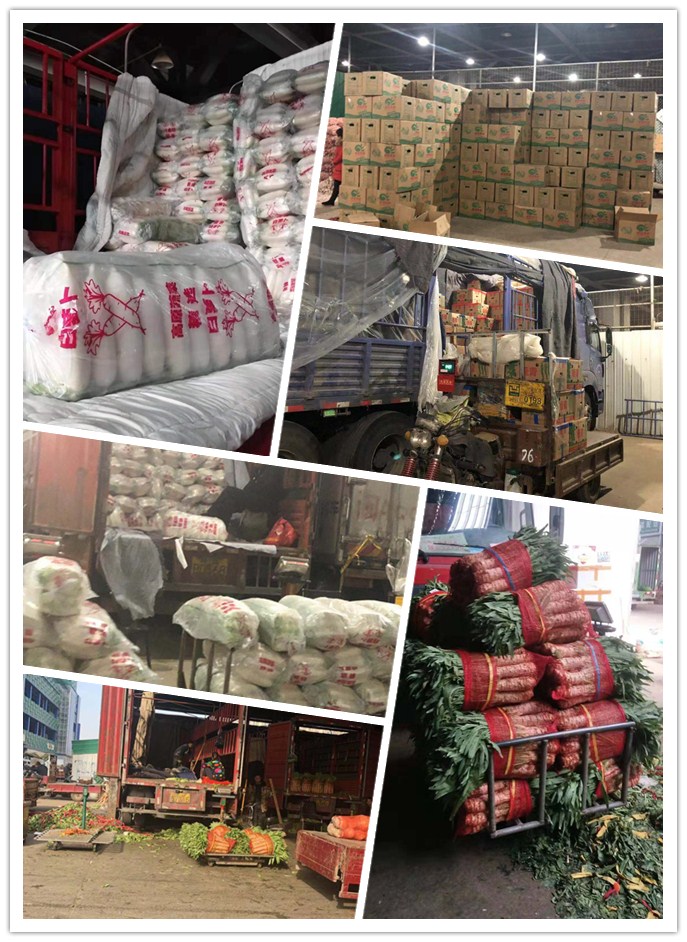 AG真人国际(中国) - 官方网站