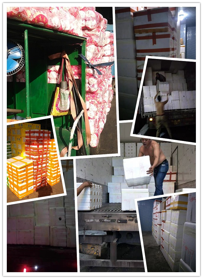 AG真人国际(中国) - 官方网站