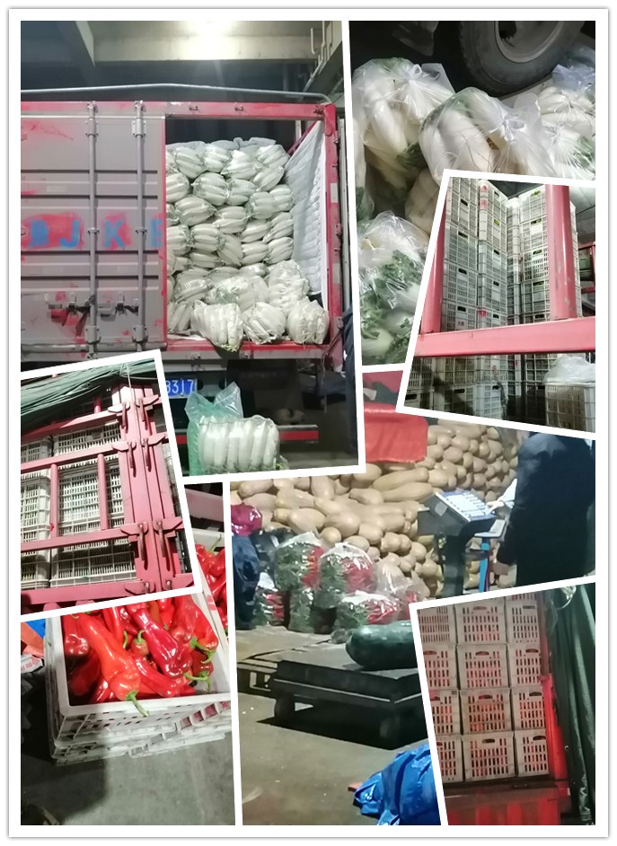 AG真人国际(中国) - 官方网站