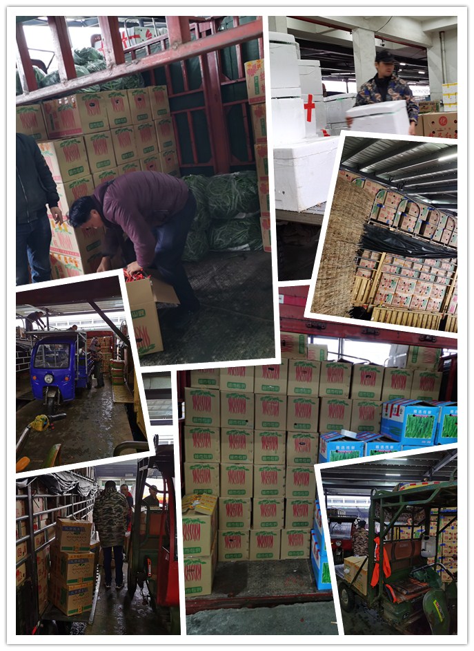 AG真人国际(中国) - 官方网站