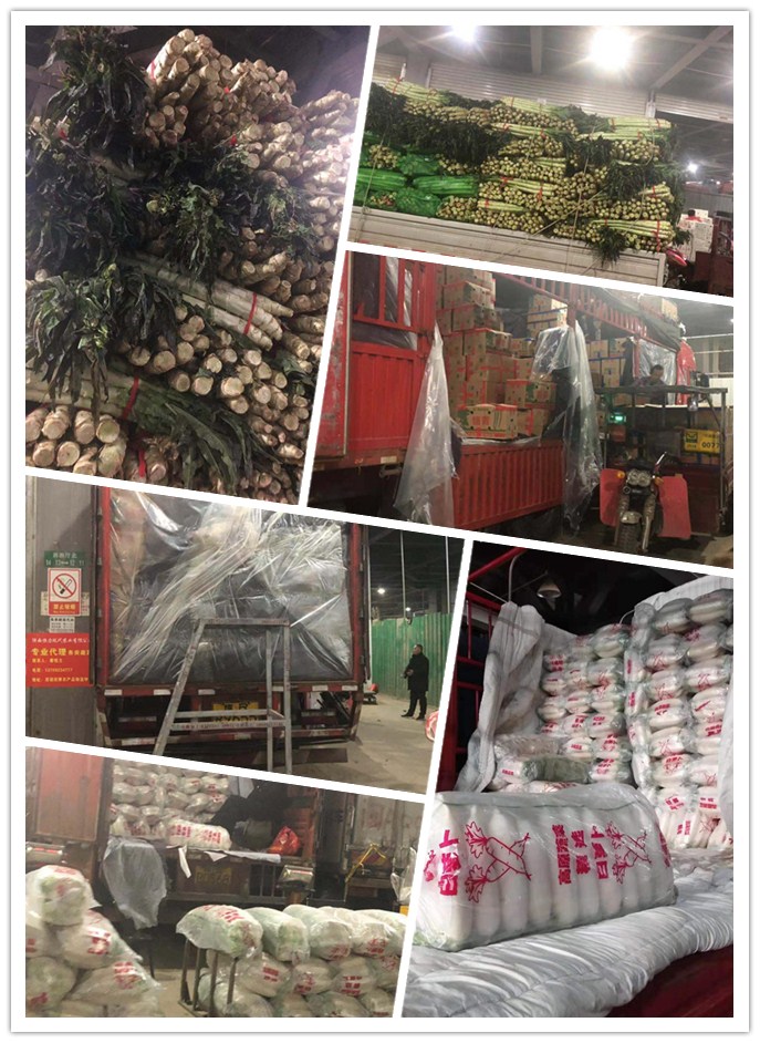 AG真人国际(中国) - 官方网站