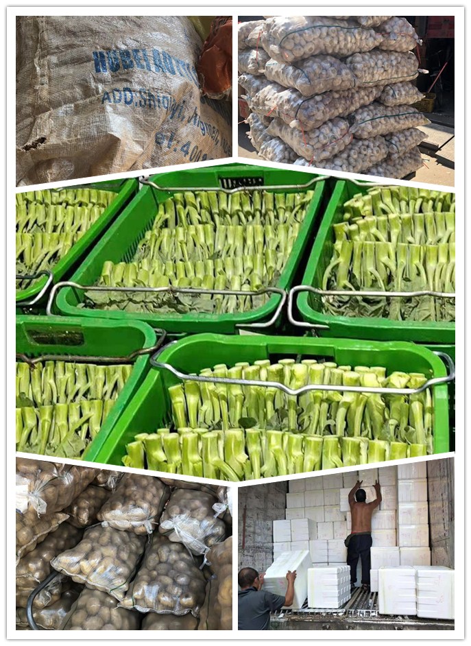 AG真人国际(中国) - 官方网站