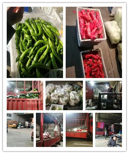 AG真人国际(中国) - 官方网站