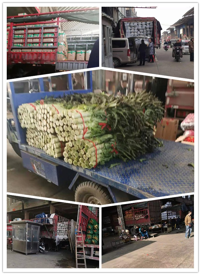 AG真人国际(中国) - 官方网站