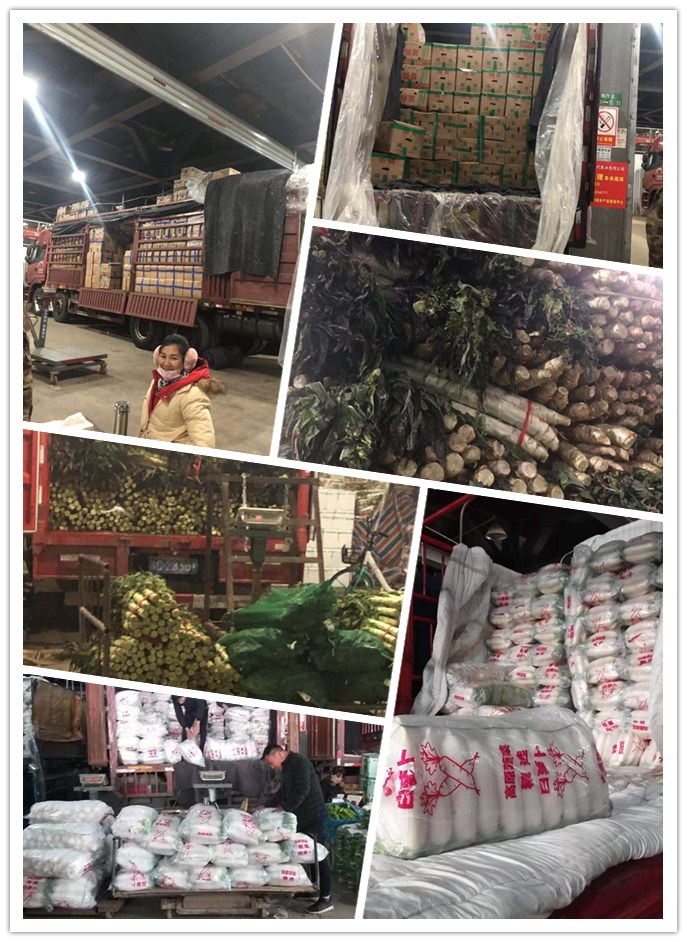 AG真人国际(中国) - 官方网站