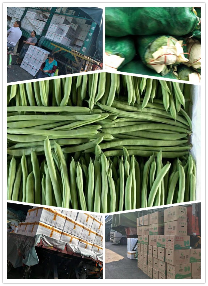 AG真人国际(中国) - 官方网站