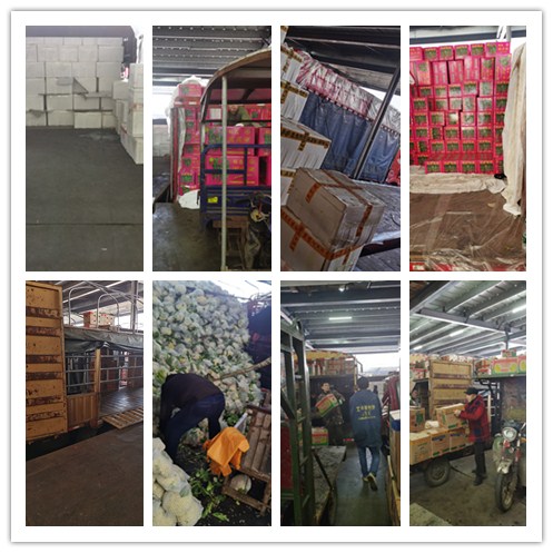 AG真人国际(中国) - 官方网站