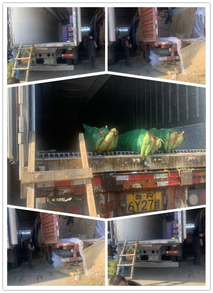 AG真人国际(中国) - 官方网站