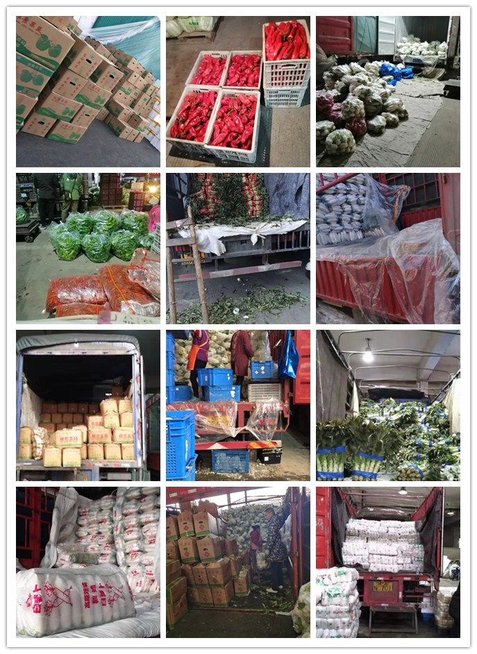 AG真人国际(中国) - 官方网站