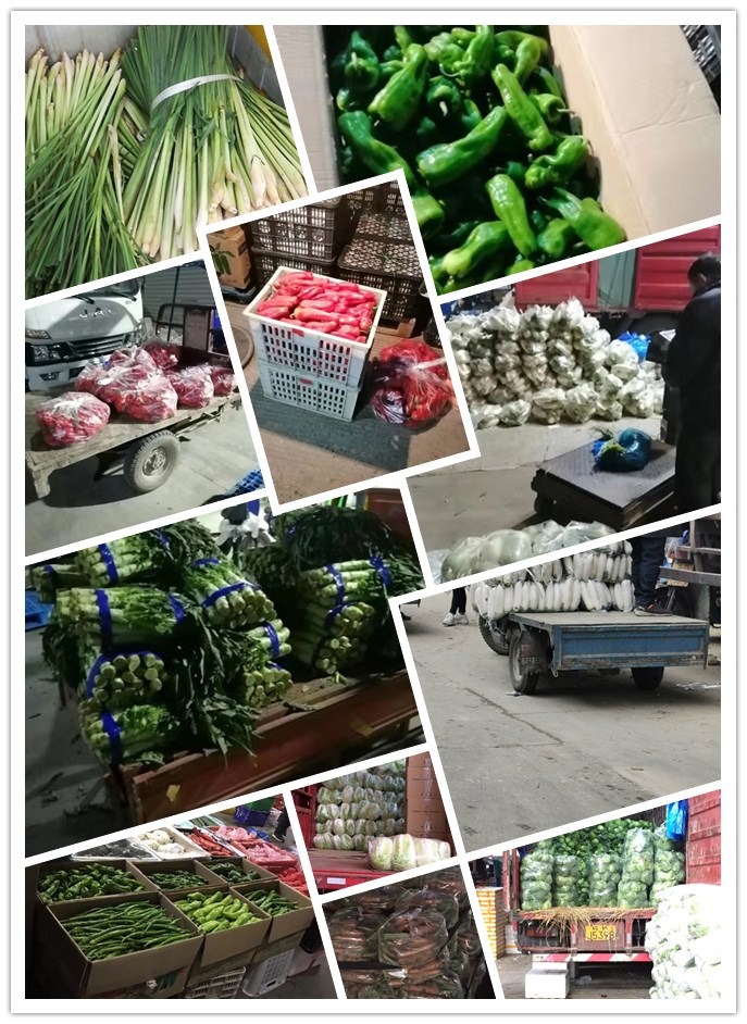 AG真人国际(中国) - 官方网站