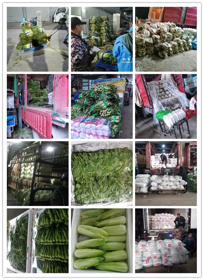 AG真人国际(中国) - 官方网站