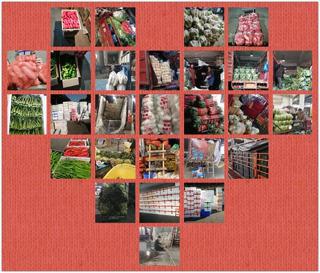 AG真人国际(中国) - 官方网站