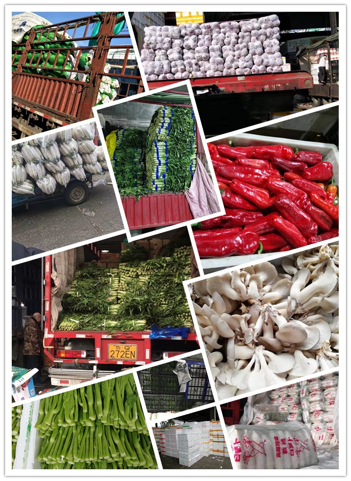 AG真人国际(中国) - 官方网站