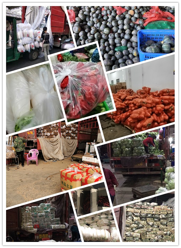 AG真人国际(中国) - 官方网站