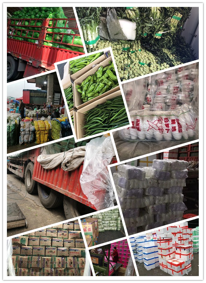 AG真人国际(中国) - 官方网站