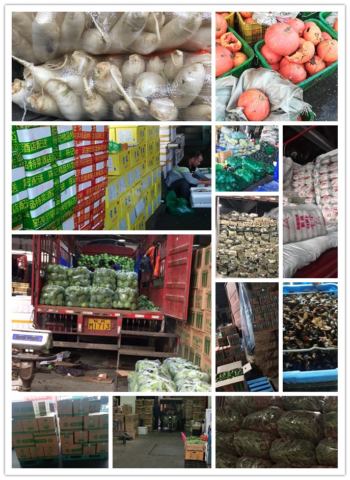 AG真人国际(中国) - 官方网站