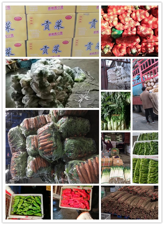 AG真人国际(中国) - 官方网站