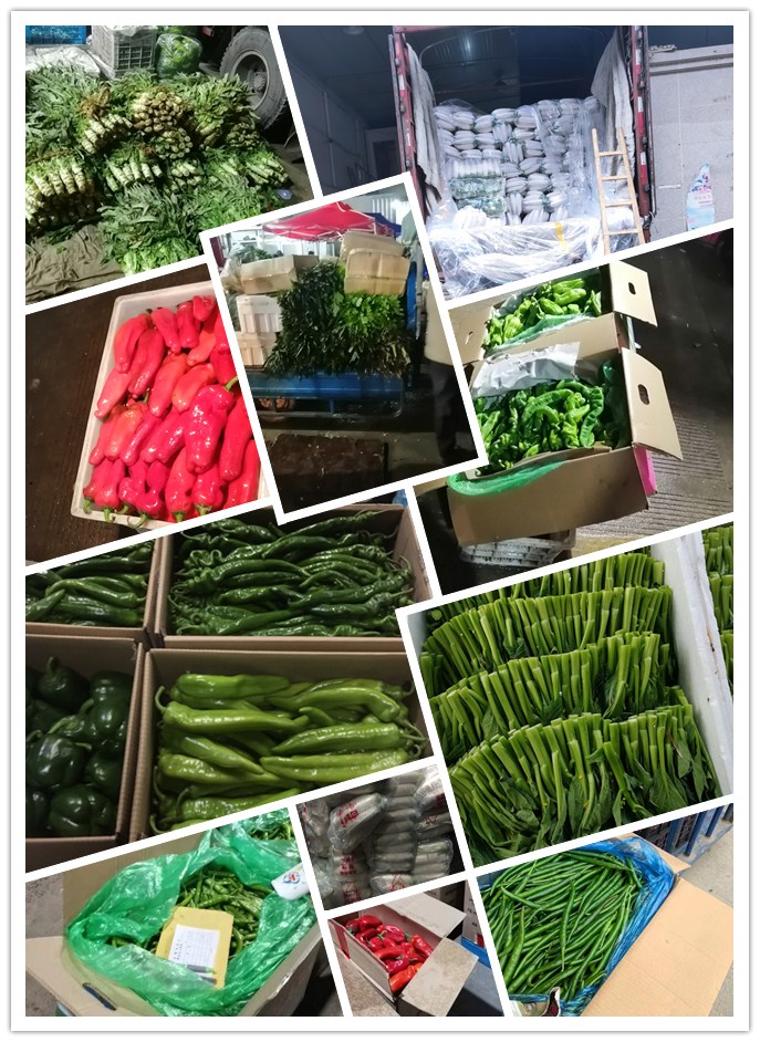 AG真人国际(中国) - 官方网站