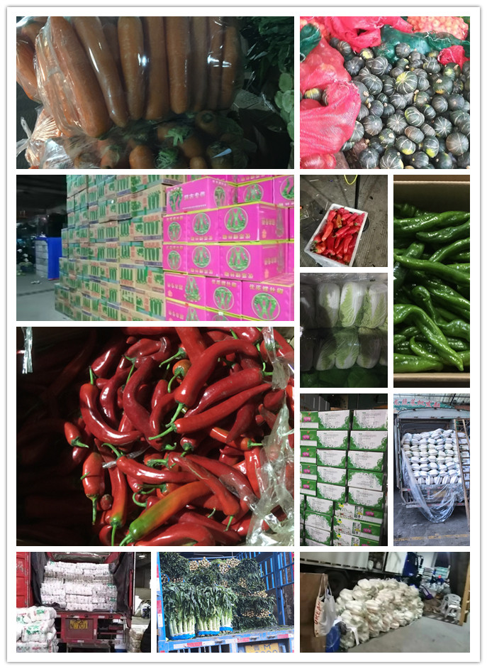 AG真人国际(中国) - 官方网站