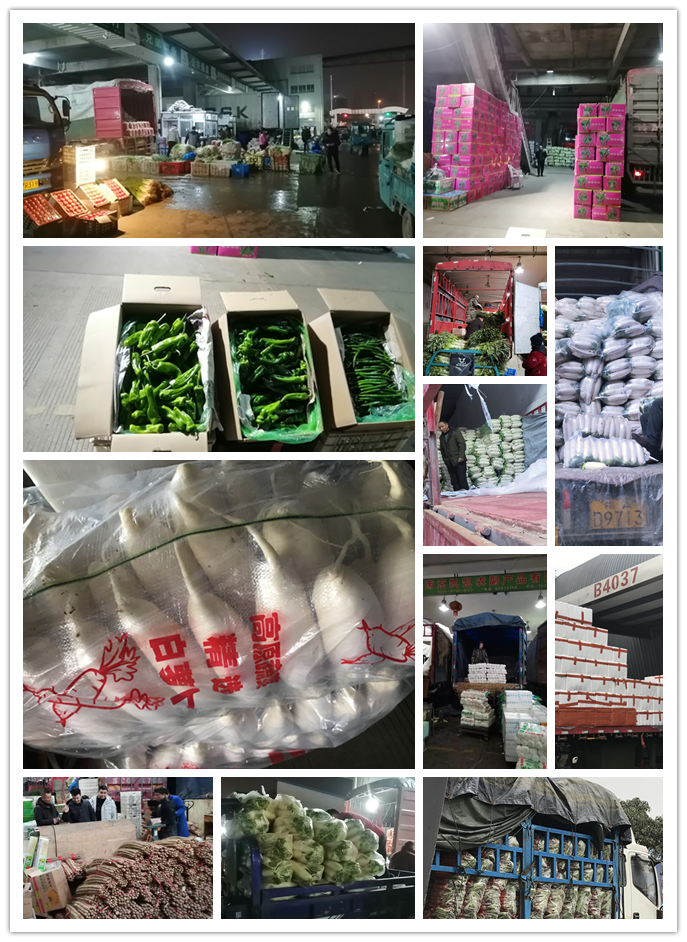 AG真人国际(中国) - 官方网站