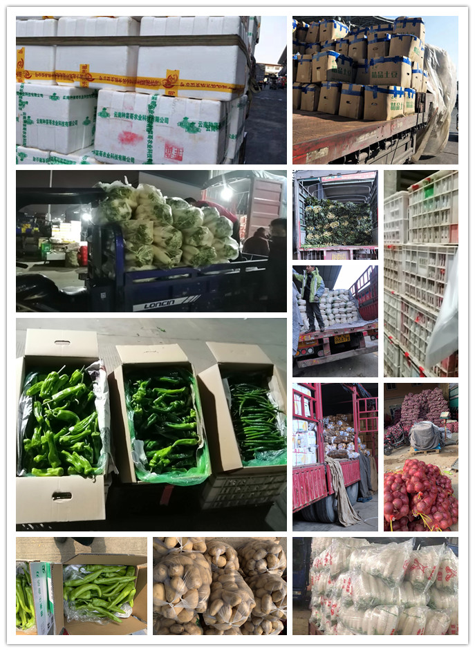 AG真人国际(中国) - 官方网站