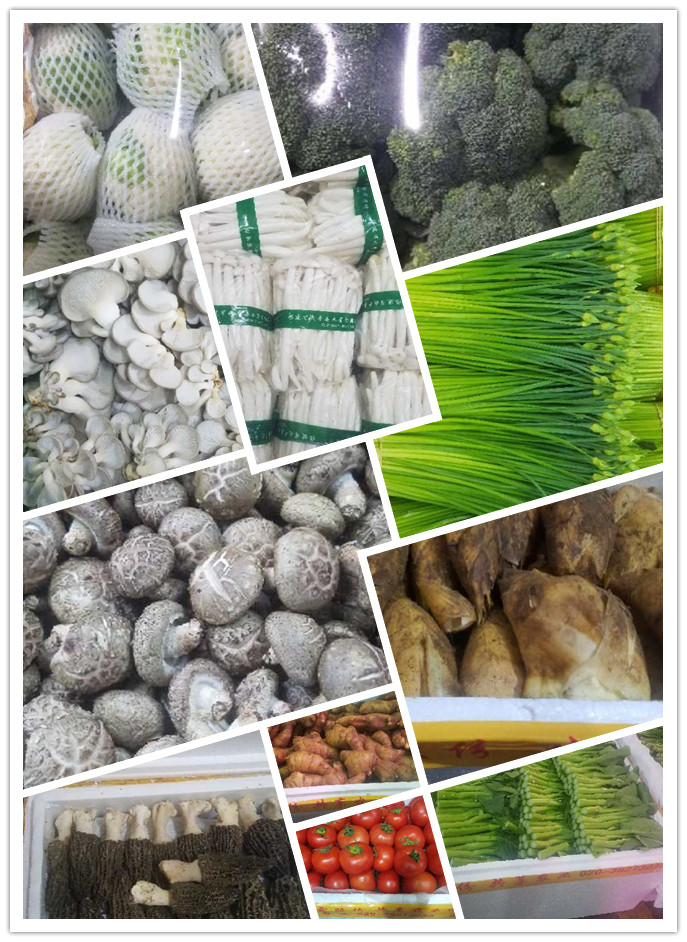 AG真人国际(中国) - 官方网站