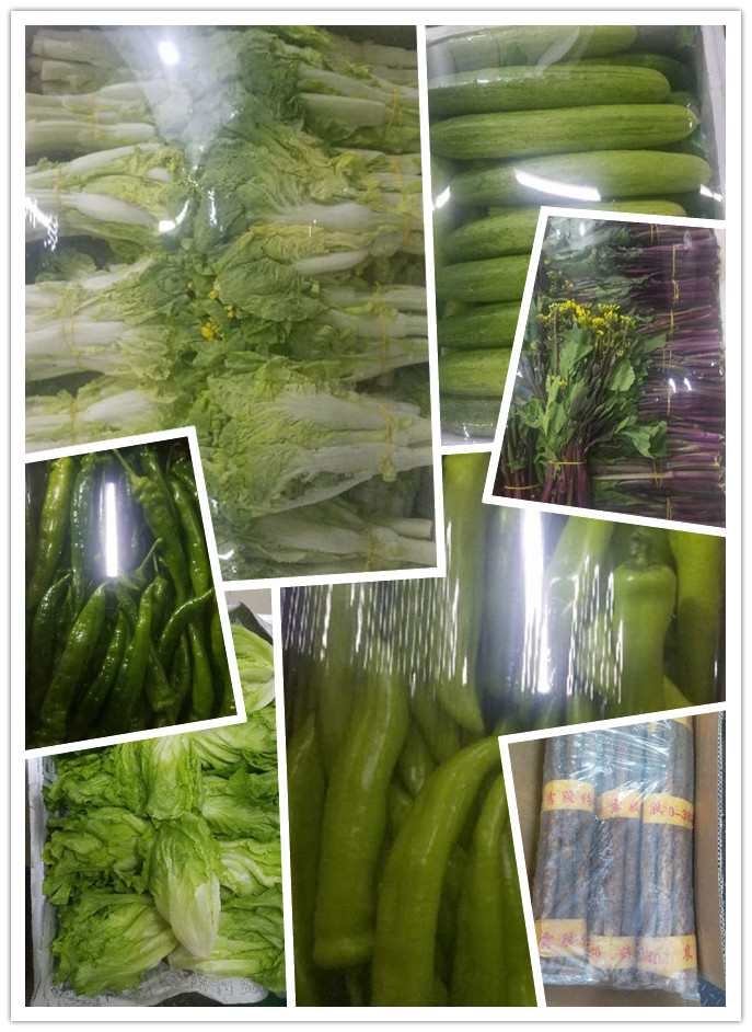 AG真人国际(中国) - 官方网站