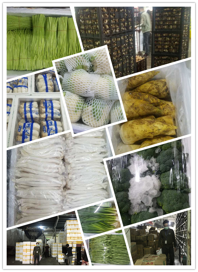 AG真人国际(中国) - 官方网站