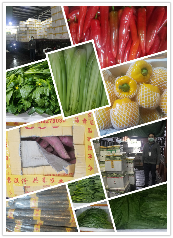 AG真人国际(中国) - 官方网站