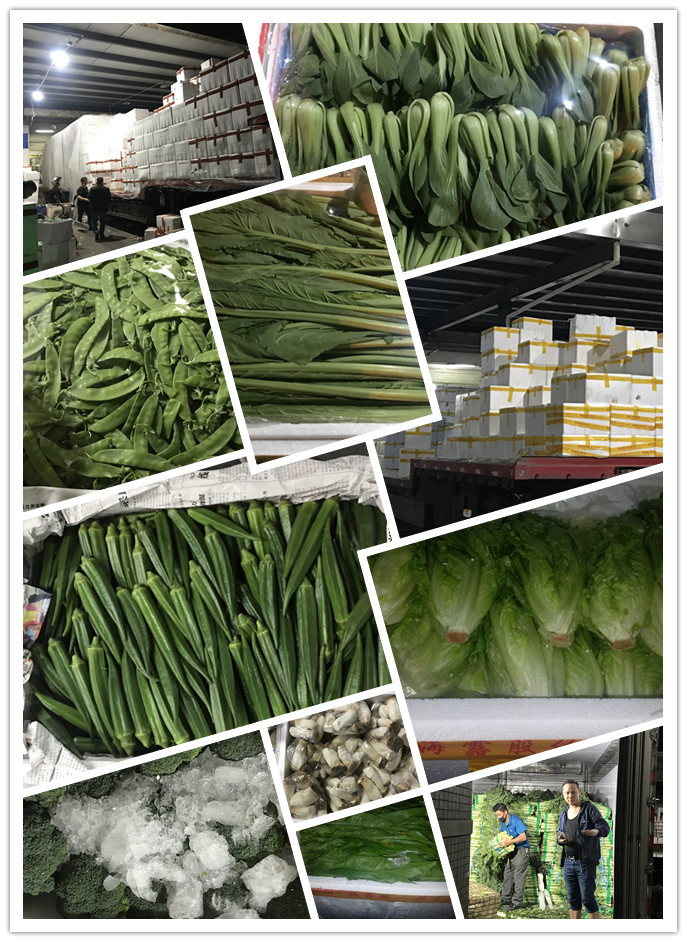 AG真人国际(中国) - 官方网站