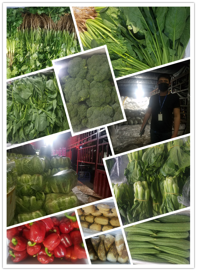 AG真人国际(中国) - 官方网站