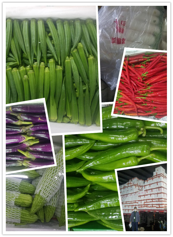 AG真人国际(中国) - 官方网站